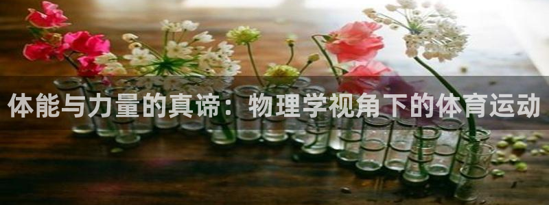 中欧体育KOK官网入口：体能与力量的真谛：物理学视角下的体育运动