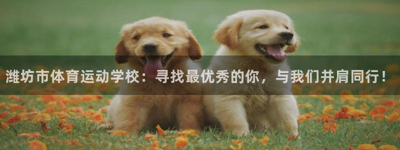 中欧资源精选混合c估值