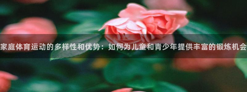 中欧信息科技混合c属于什么板块