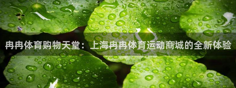 中欧基金官网：冉冉体育购物天堂：上海冉冉体育运动商城的全新体验