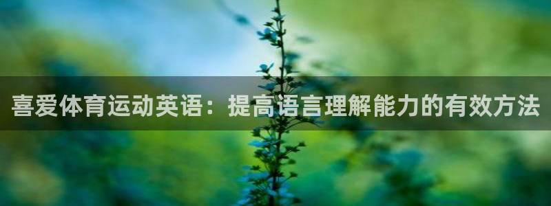 中欧航空工程师毕业去向