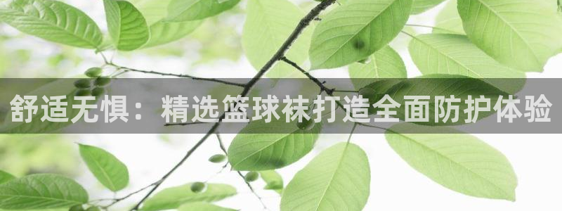 中欧体育集团：舒适无惧：精选篮球袜打造全面防护体验